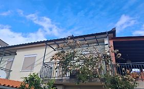 Fioretta